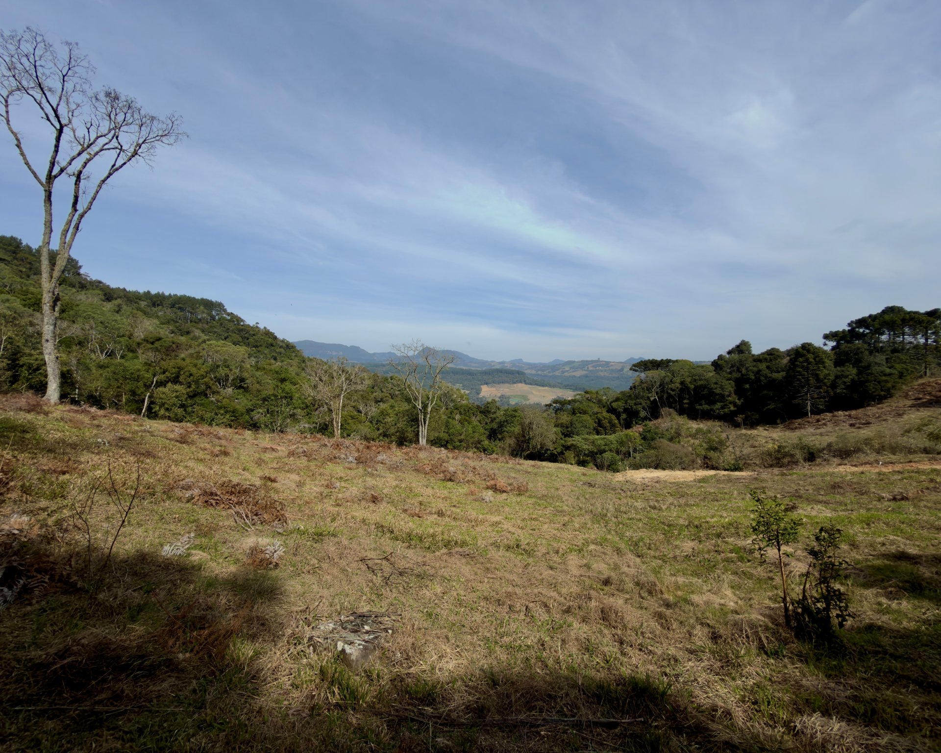 Sítio de 4 Hectares com 3 Cachoeiras