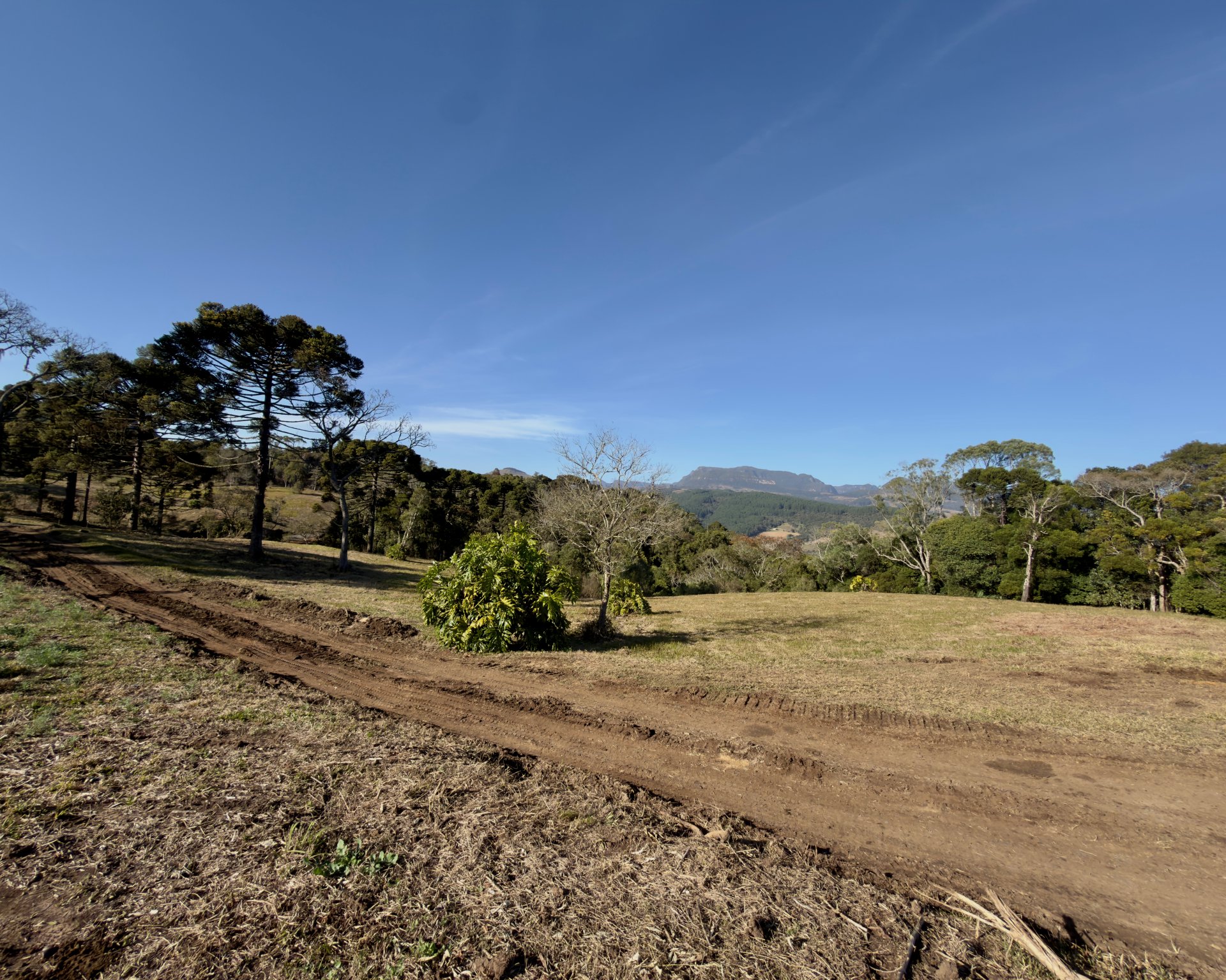 Sítio de 2 Hectares com Lago e Araucárias