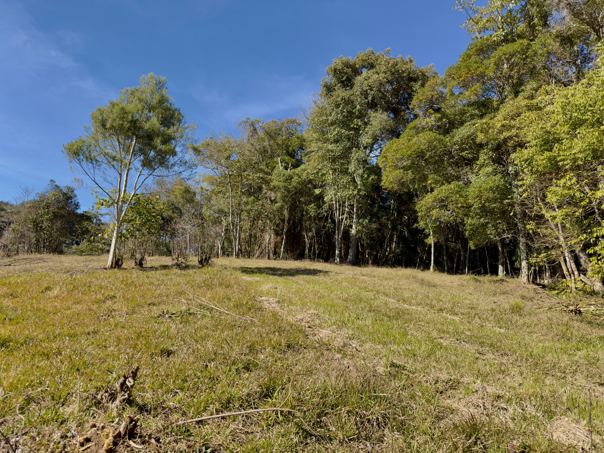 Sítio de 2 Hectares com Lago próximo ao Comércio