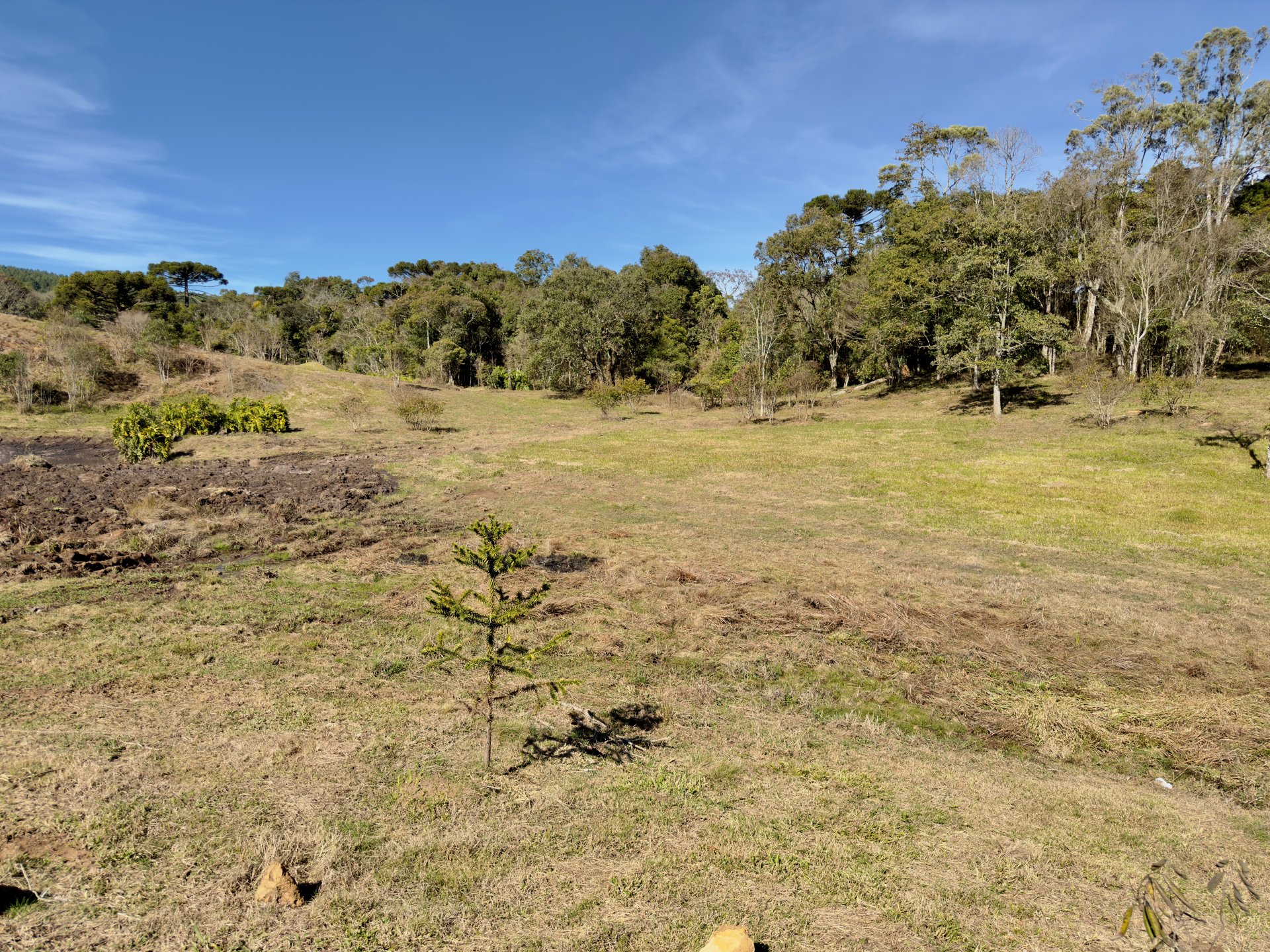 Sítio de 2 Hectares com Nascente e Lago
